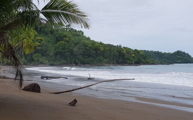 Drake Bay Paradise Lodge