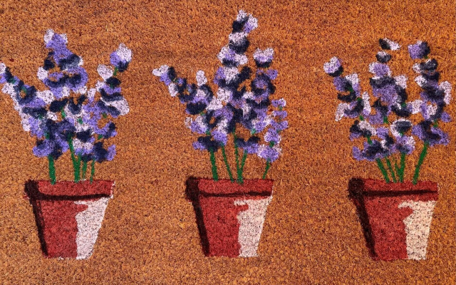 Penhallow House Glamping Retreat