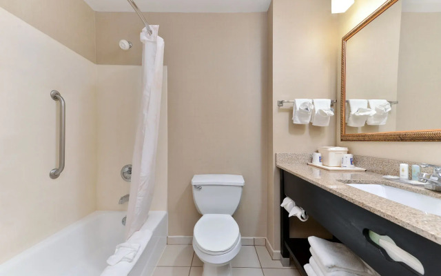 Comfort Inn & Suites at Stone Mountain