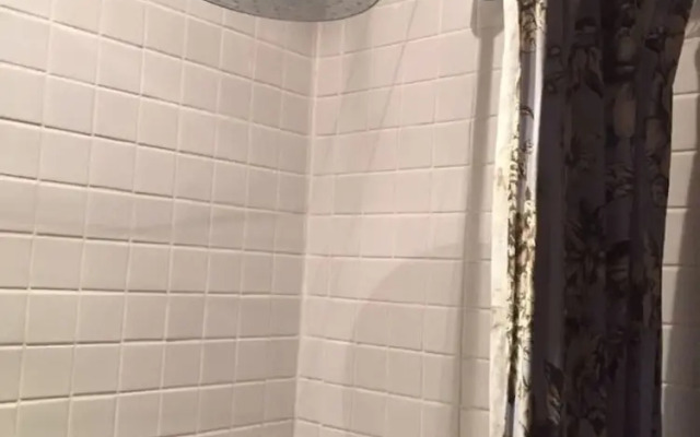 Boutique Bijoux Garden Flat in Vibrant Oval