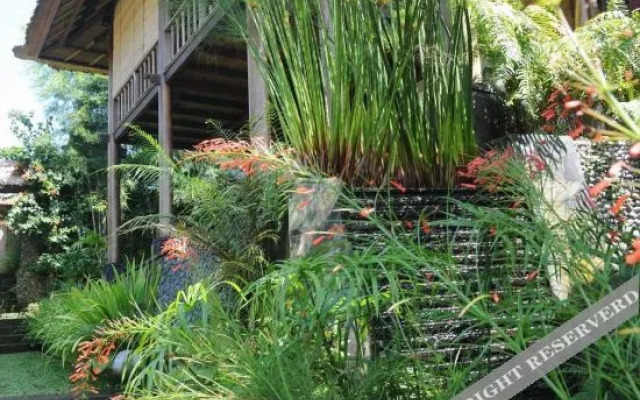 Villa Constance