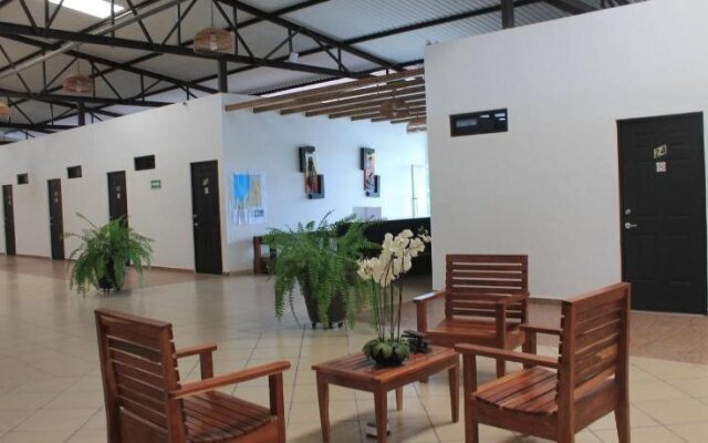 Real Primaveras Campestre