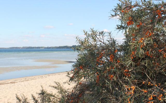 Spacious apartment in Boltenhagen near the beach