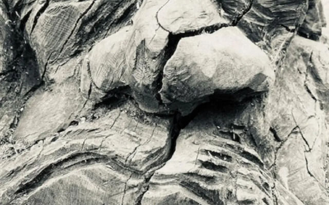 Suffolk Shepherds Huts