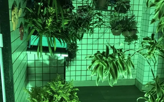 Hotel Pousada Irmãos Freyhardt Galeão