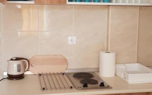 Dobricin konak, Apartman 202