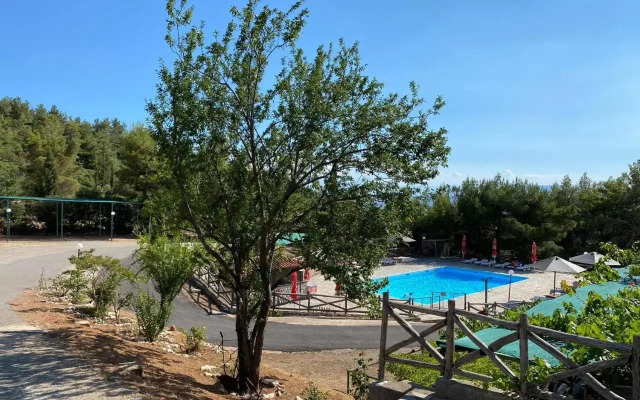 Apollon Camping Delphi
