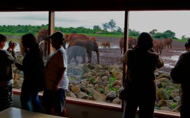 The Ark Lodge