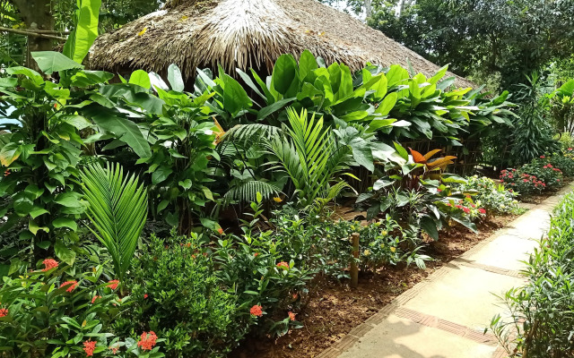 Puluong Home - Hostel