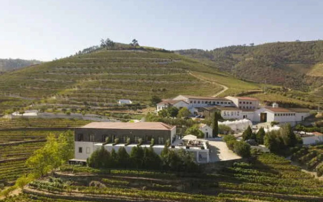 The Vine House - Quinta Sao Luiz