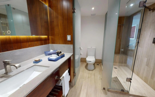 Grand Park Royal Puerto Vallarta - All Inclusive