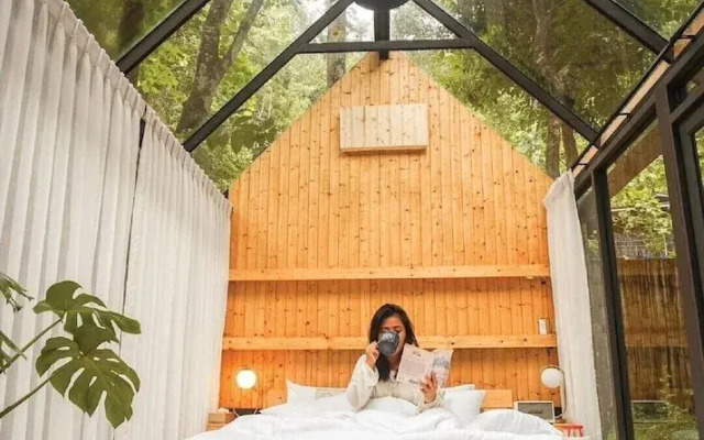 Morning Star Glamping