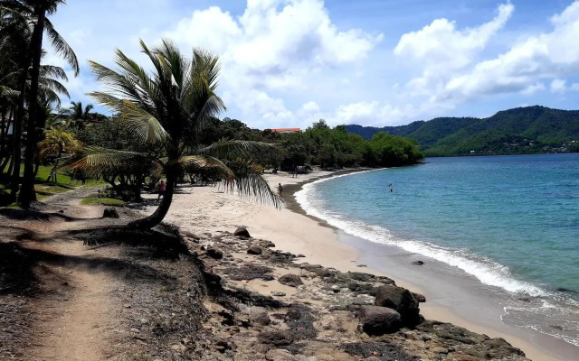 Sainte-Luce 2 T1 Hibiscus Et Colibris (Adults Only)