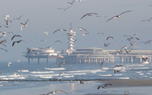 Cozy Holiday Home in Scheveningen near Beach