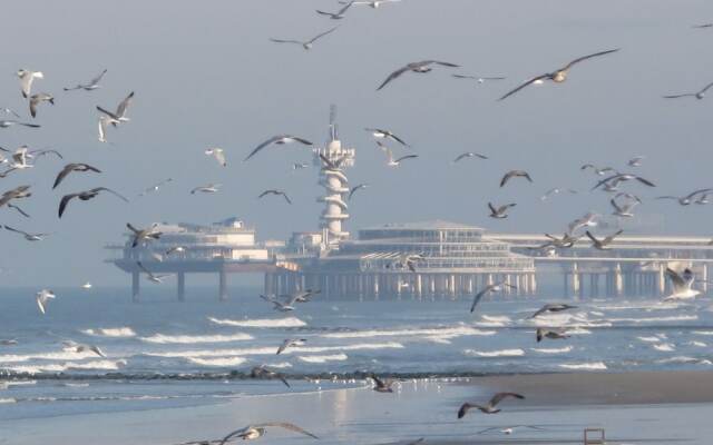 Cozy Holiday Home In Scheveningen Near The Beach