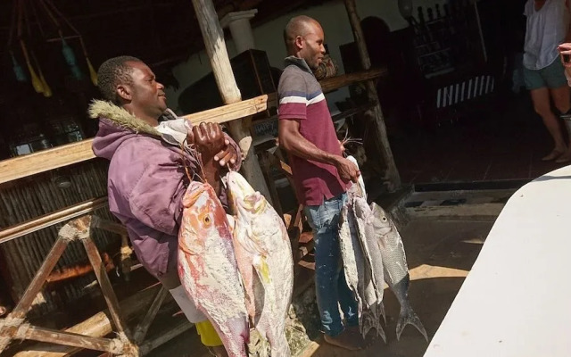 Zoi Retreat Hotel Zanzibar