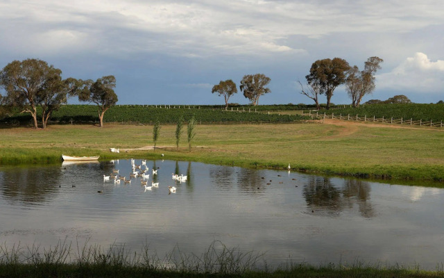 Mayfield Vineyard
