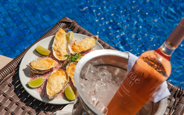 SLAVIERO  Ingleses Convention