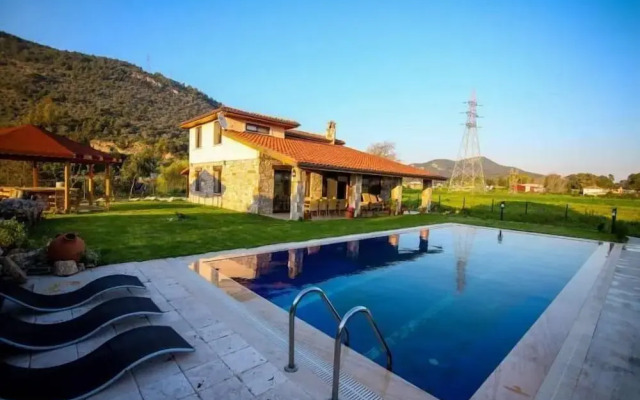 Villa Palm Tree