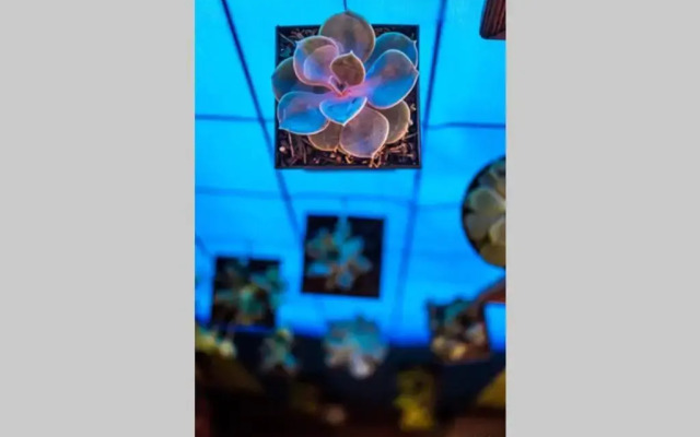 Nice full apartment, downtown on foot