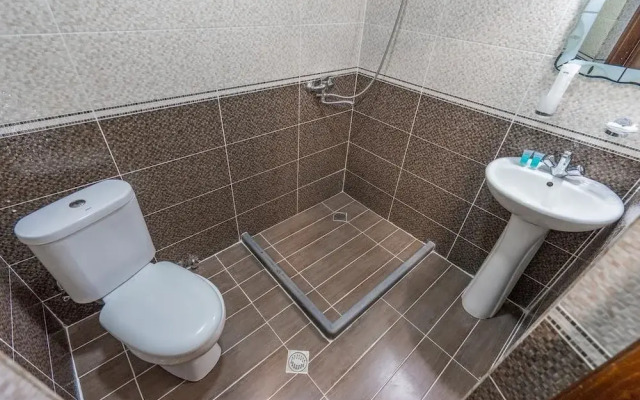 Отель Meskheti Palace