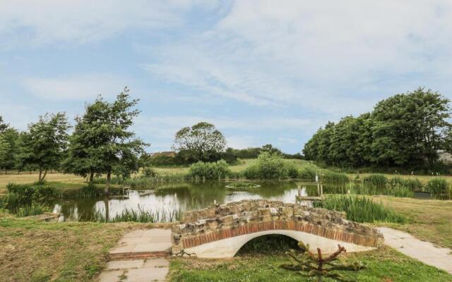 Pond View