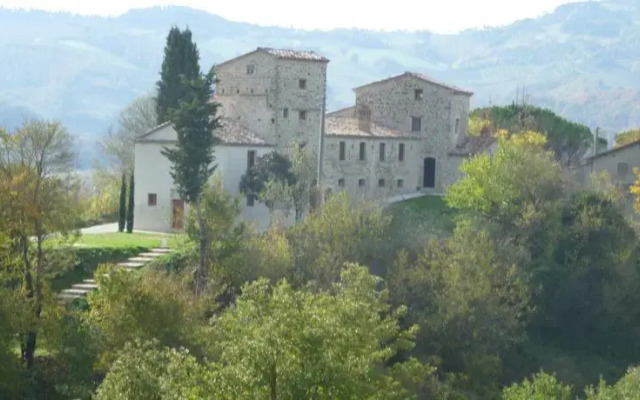 Vaccaria