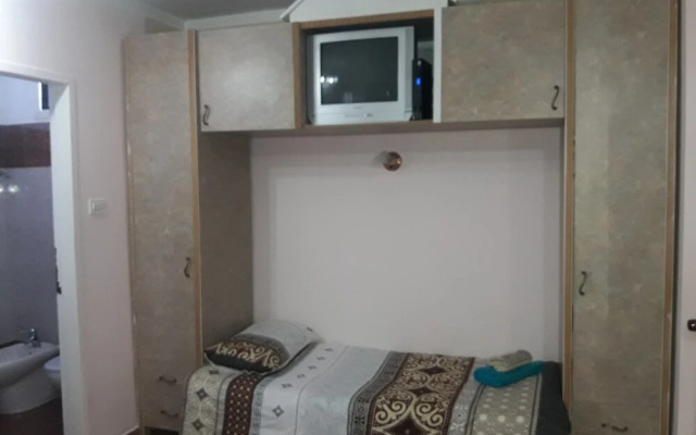 Oasis Negev