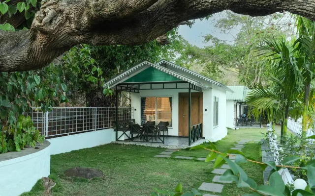 MGM Whispering Wind's Yelagiri
