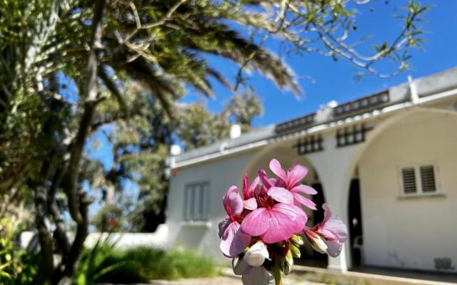 Sea View Spacious Private Villa in Lapta