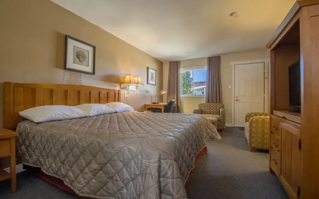 Alpine Motor Inn
