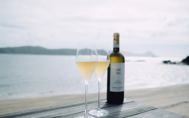 Villa Resort Hotel Denpaku The Beachfront Mijora