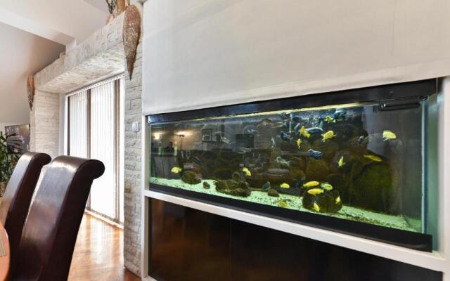 Luxury Apartment Sandra