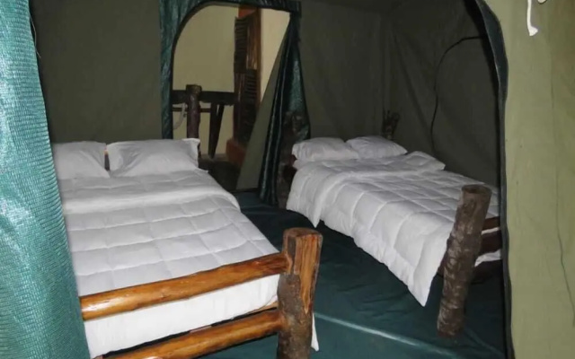 Jungle lodge Kibale