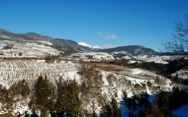 Azienda Agricola Castel Vasio