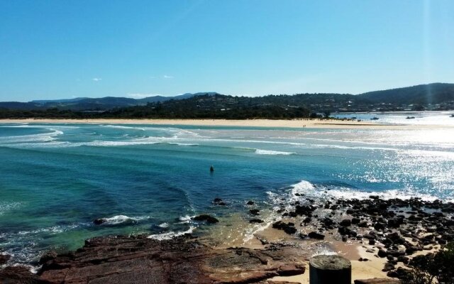 Beachcomber Pet Friendly