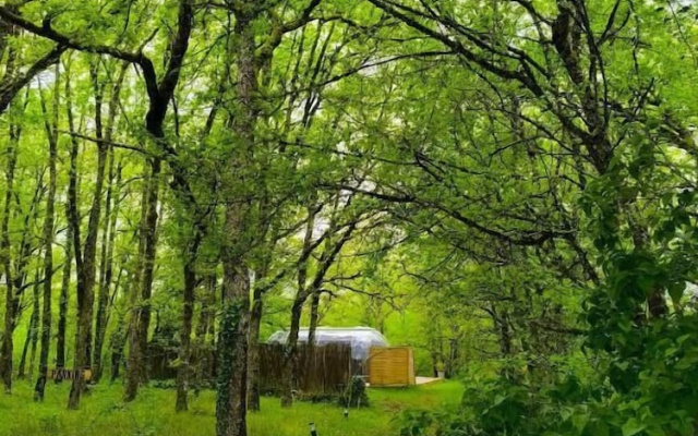 Les Bois de Morphée