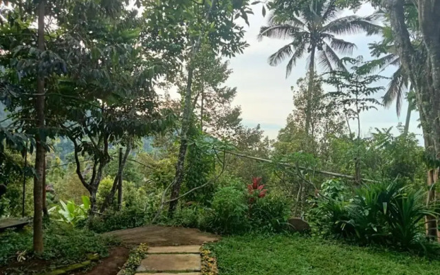 Sekumpul Local House