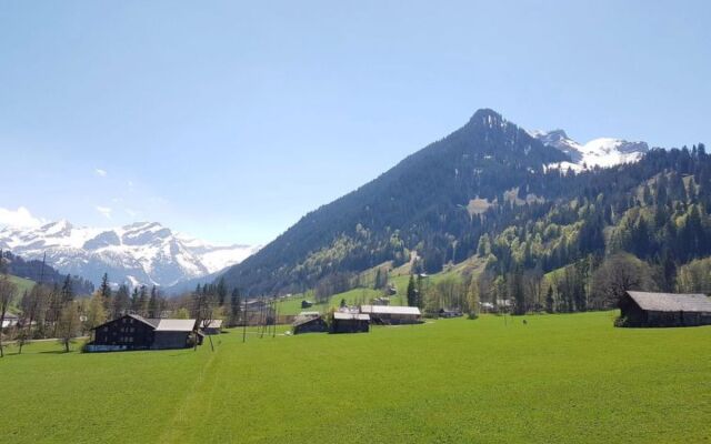Apartment Farfalla Gstaad