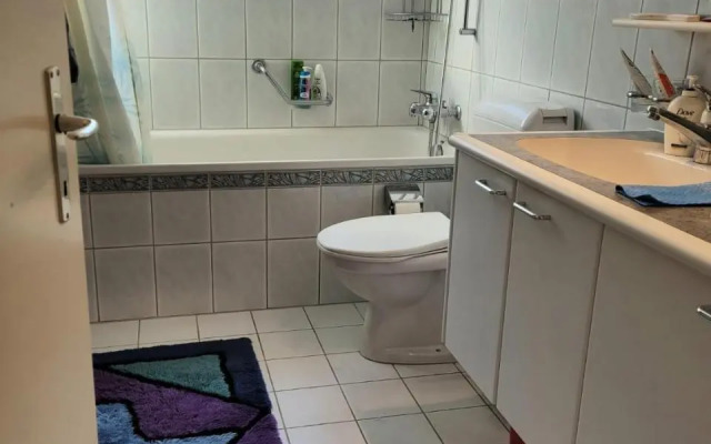 Schöne grosse Attika-Wohnung im Zentrum von Vaduz inkl. Parkplatz