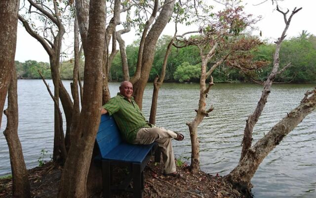 The Backwaters