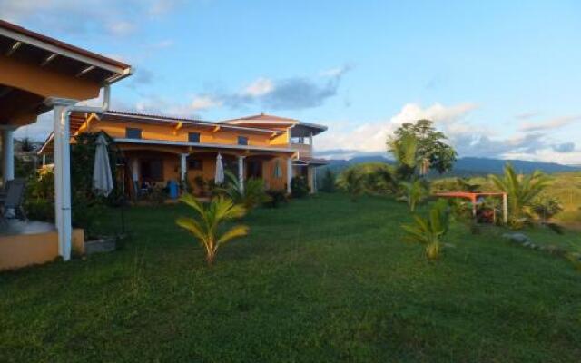 Finca Buena Vista