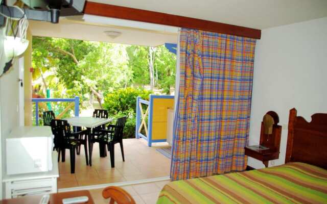 Studio in Sainte-anne, With Enclosed Garden and Wifi - 100 m From the Beach