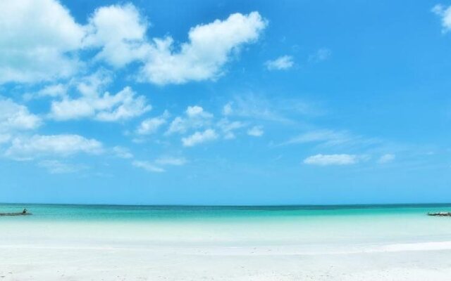 Moon Dreams Yum Balam