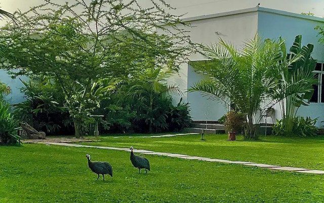 Amala Villas