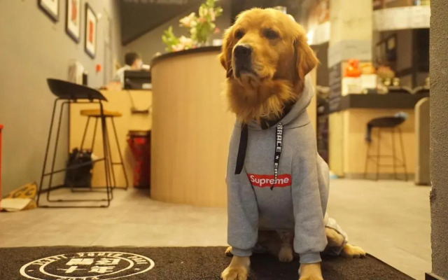 Chengdu Desti Youth Park Hostel