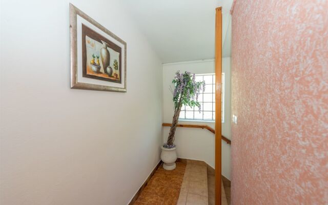 Apartments and Rooms Dragica