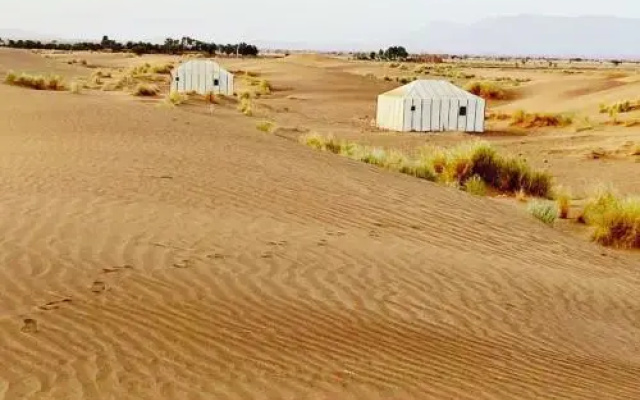 Bivouac Tamgroute