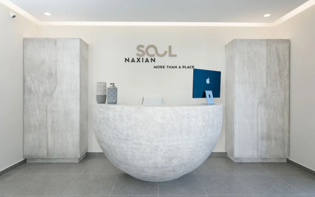 Naxian Soul