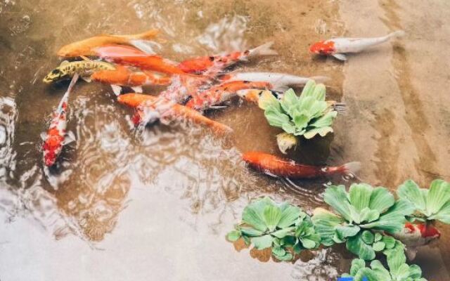 Xuyuan Inn Dianchi Resort